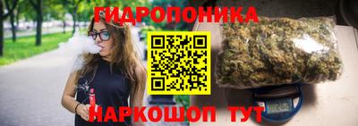 PSILOCYBIN Заводоуковск
